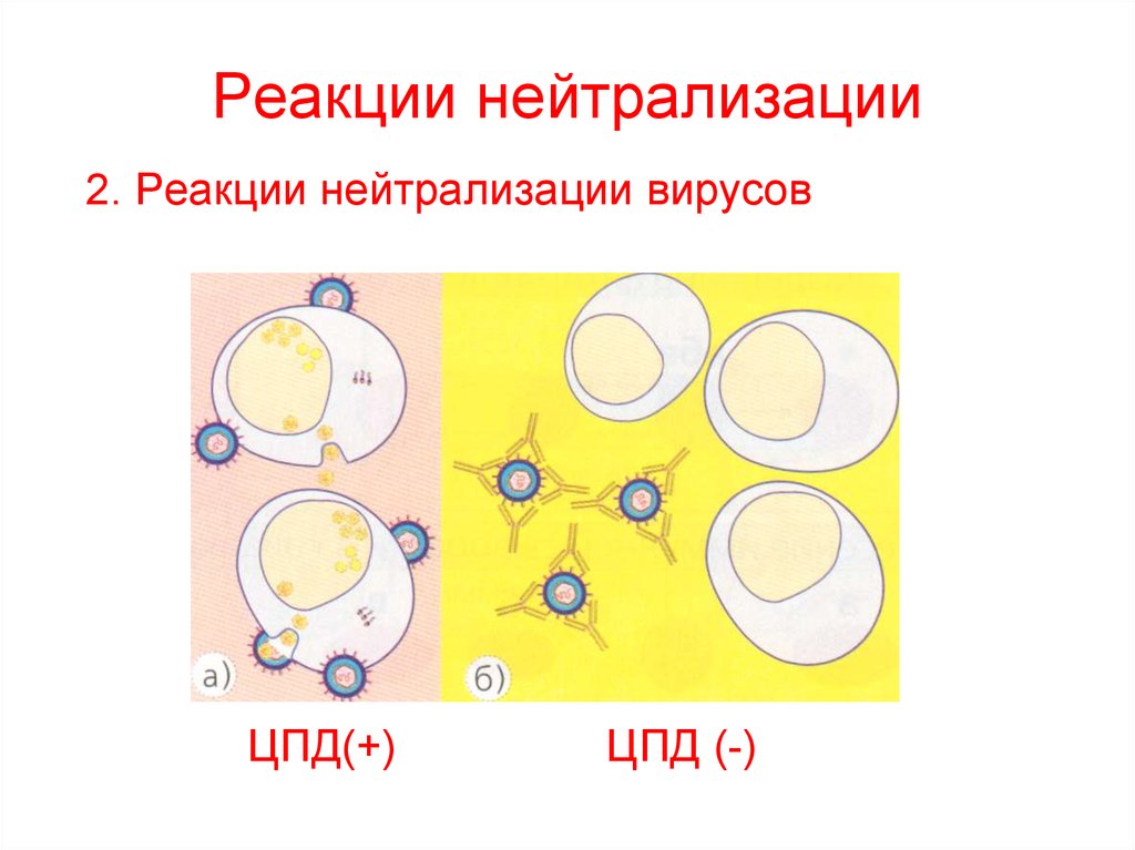 Реакция нейтрализации схема