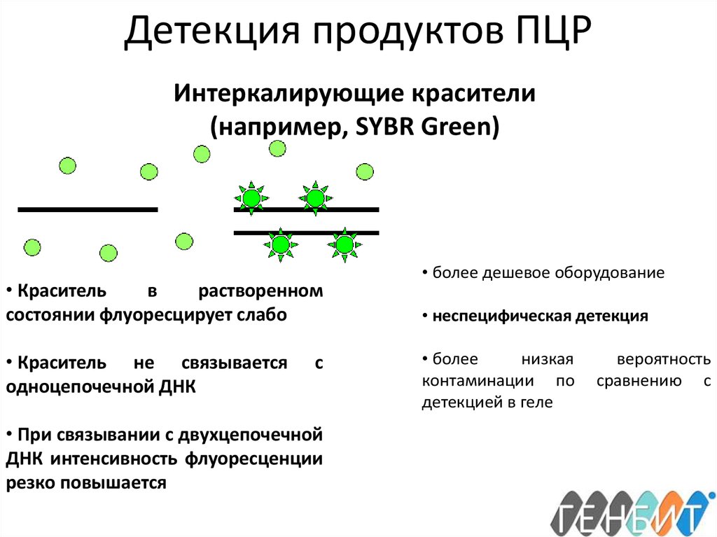 Флуоресцентные методы детекции пцр