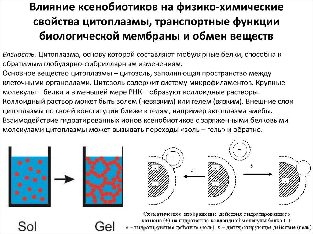 Сложные коллоидные комплексы включающие в себя белков