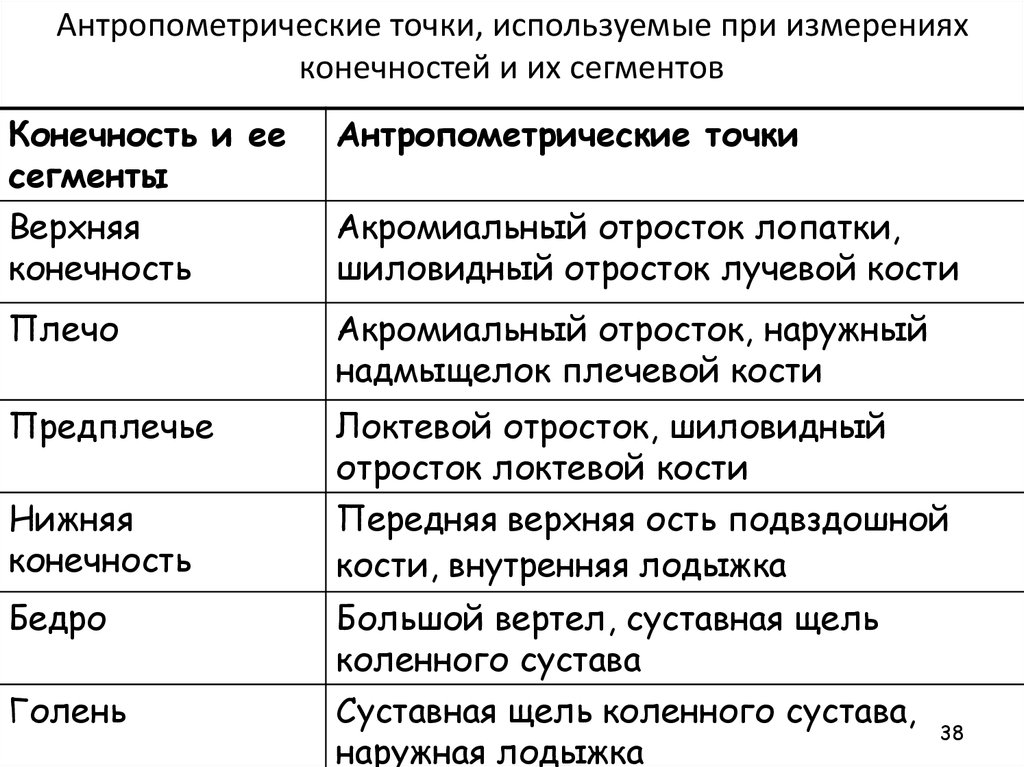 Таблица сегментов используется для. Требования при проведении антропометрических исследований:. Антропометрические точки конечностей. Антропометрическая экспертиза.