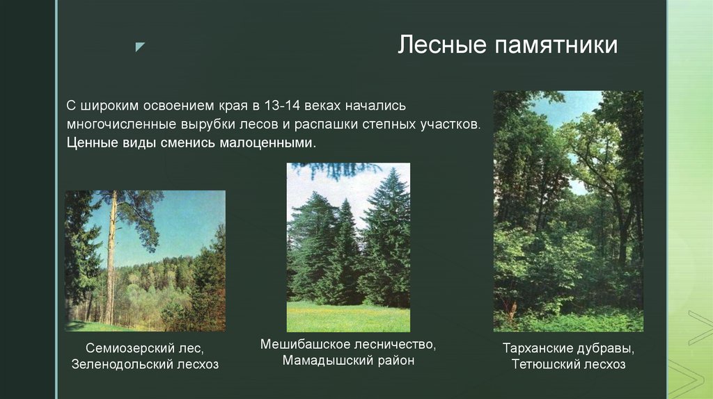 Лесные памятники
