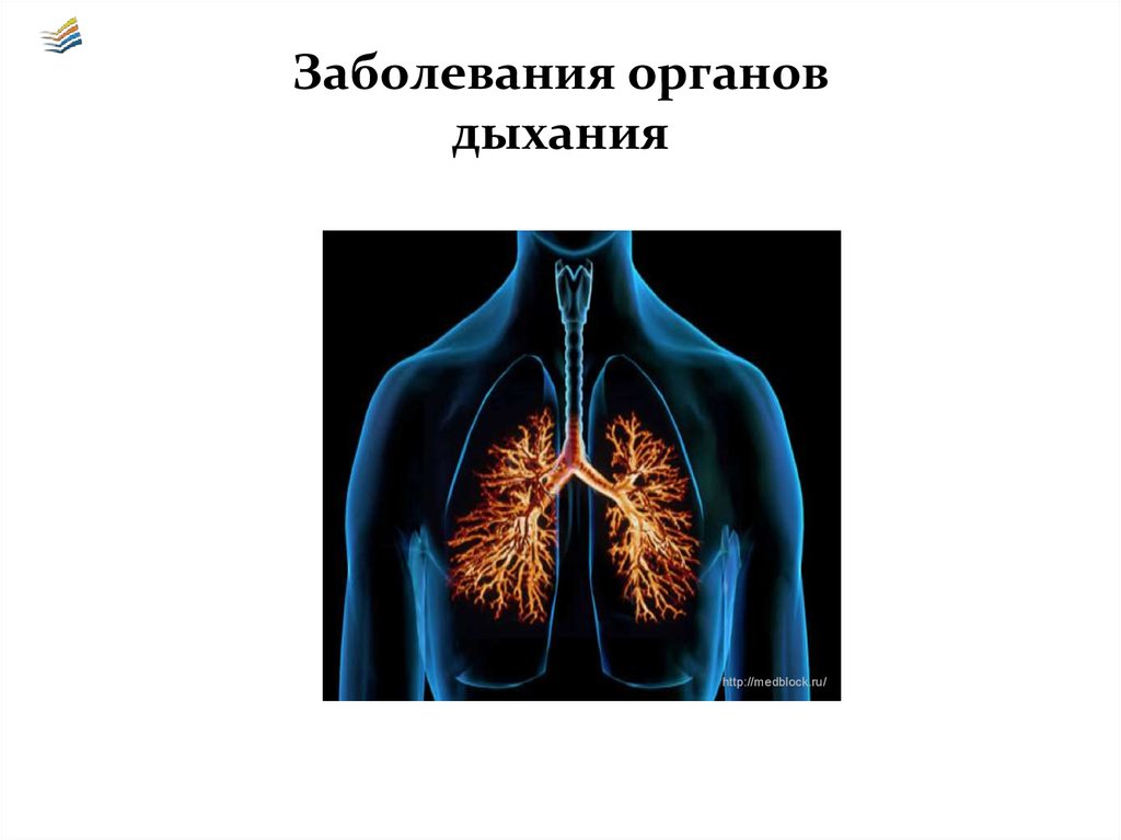Причины болезней органов дыхания. Забооеванияорганов дыхания. Заболевания дыхательных органов. Нарушение органов дыхания. Воспаление органов дыхания.