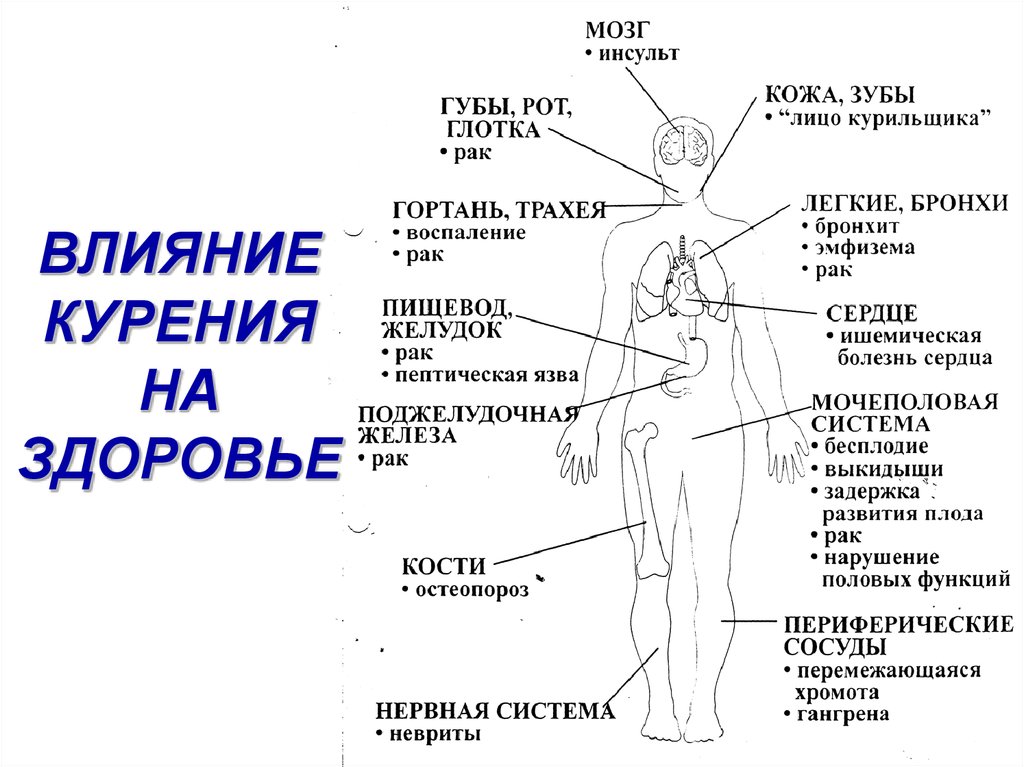 Вред курения схема