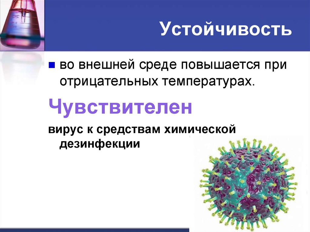 Что значит вирус. Устойчивость вирусов во внешней среде. Устойчивость бактериофагов во внешней среде. Где живут вирусы. Аденовирус устойчивость во внешней среде.