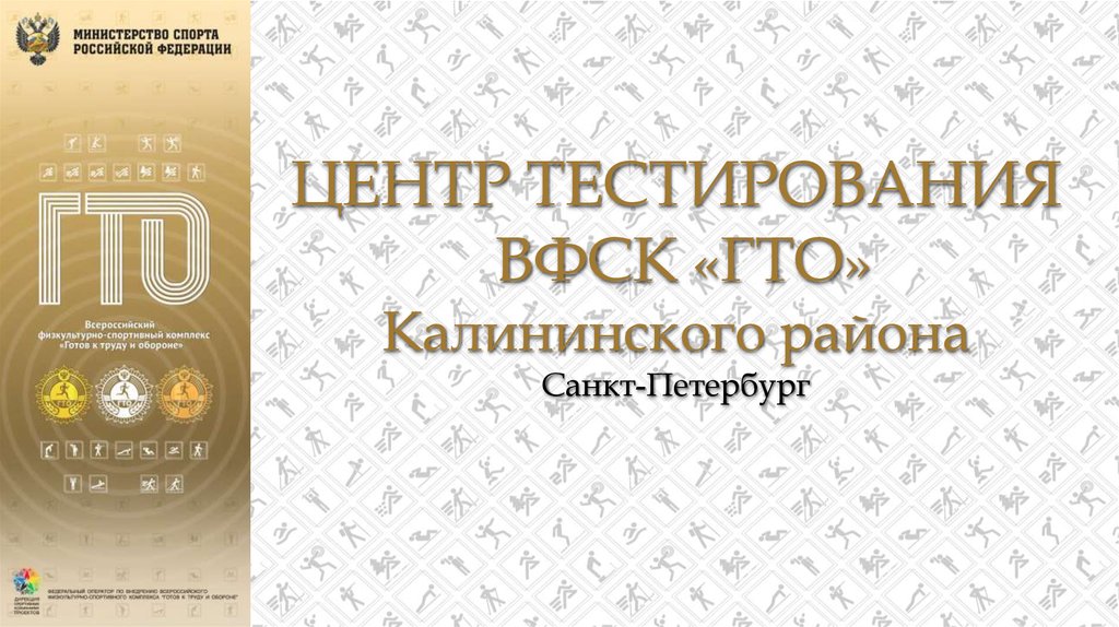 Центр тестирования отзывы. Центры тестирования ГТО В Санкт-Петербурге. Выборгский центр тестирования ГТО.