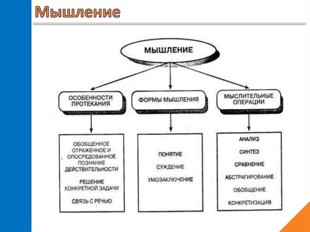 Свойства мыслительных операций