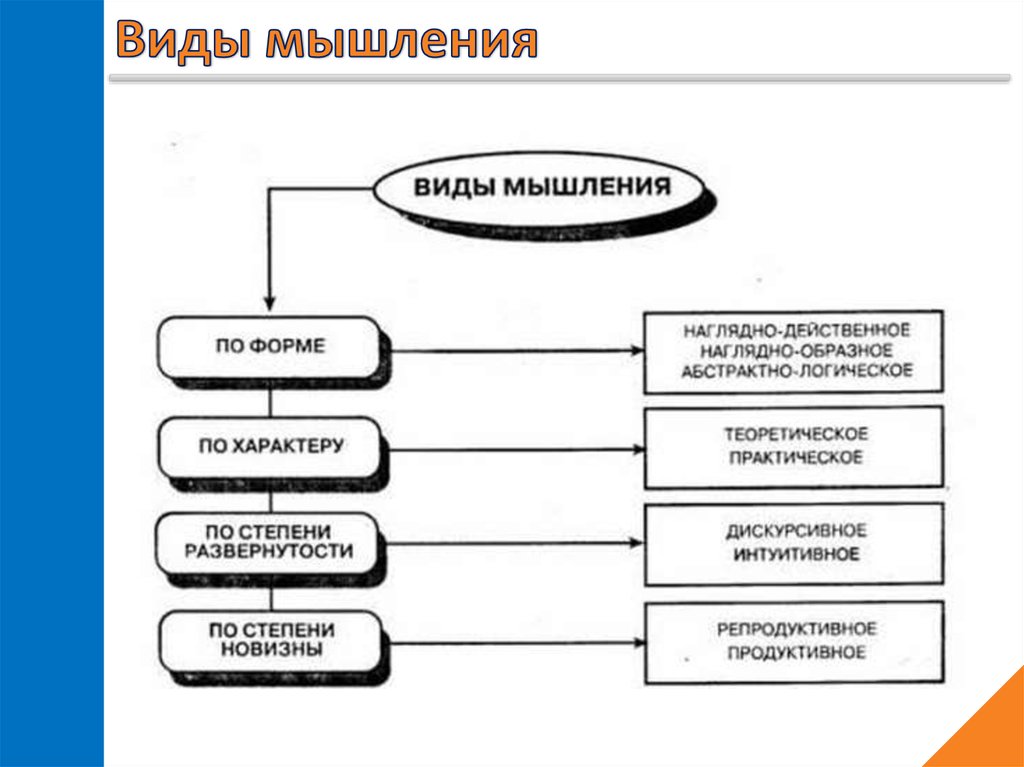 Части мышления. Типы мышления наглядно-образное. Наглядные формы мышления. Виды мышления образное. Наглядно-действенный вид мышления.