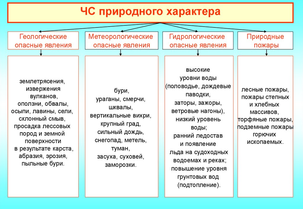 Чрезвычайные ситуации природного и техногенного характера проект