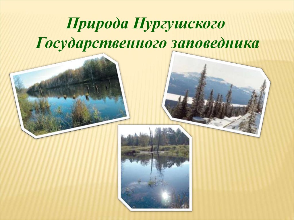 Охраняемые природные территории свердловской области