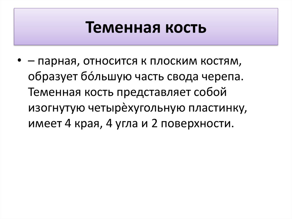 Парной костью является. Теменные кости относятся к.