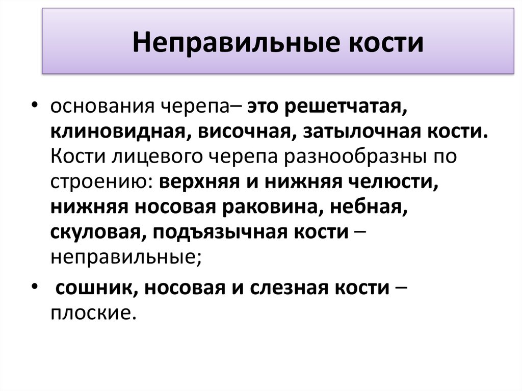 Неправильные кости