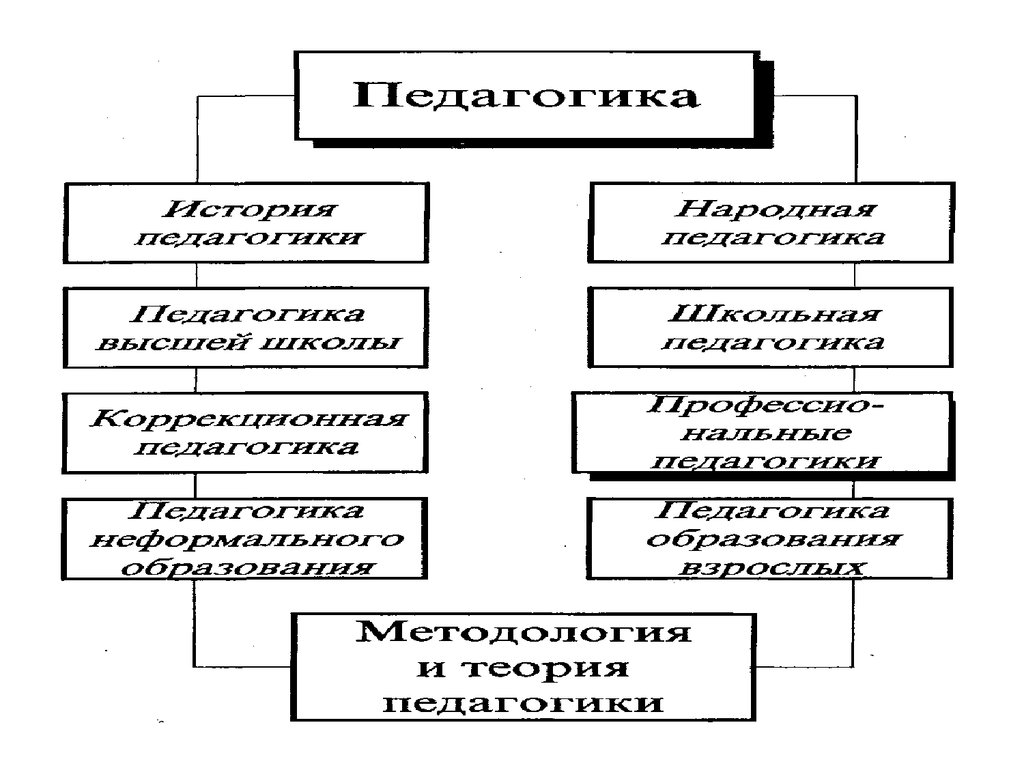 Отрасли педагогики презентация