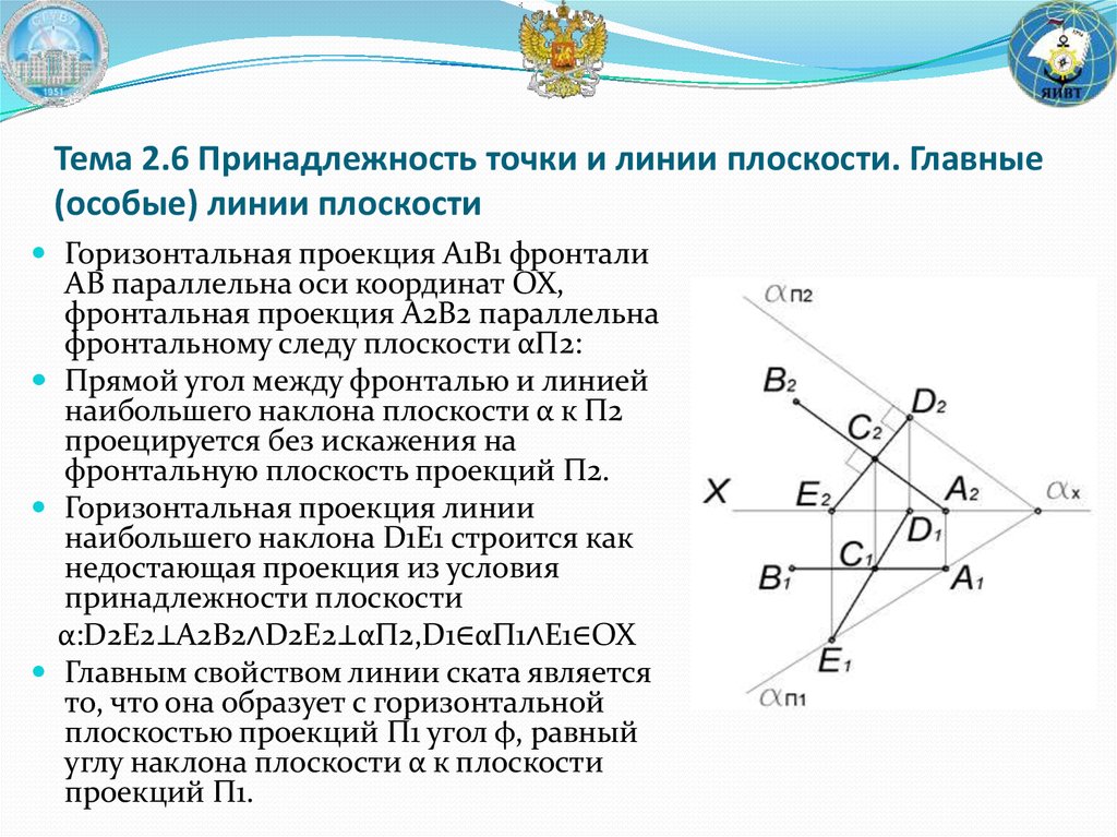 Особые линии