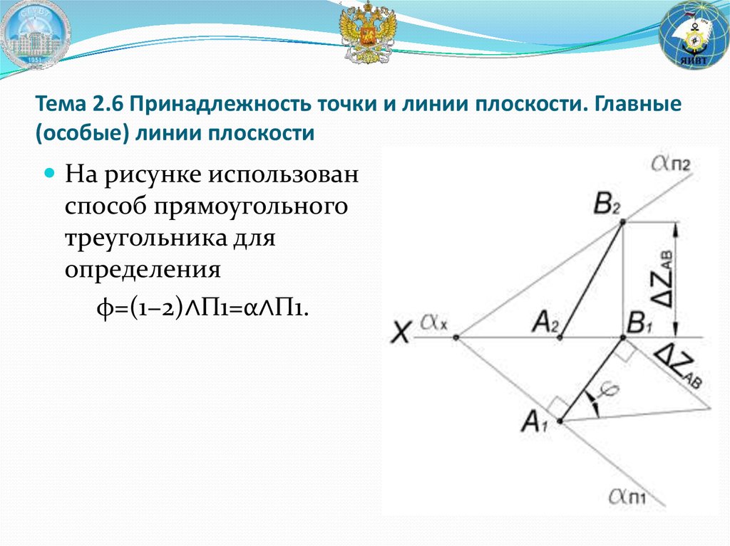 Особые линии