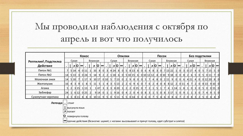 Мы проводили наблюдения с октября по апрель и вот что получилось