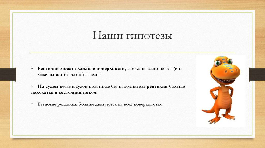 Наши гипотезы