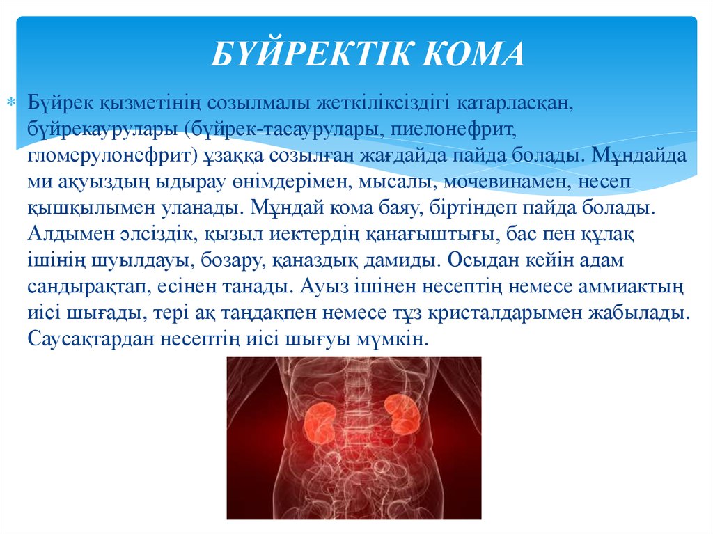 Созылмалы гломерулонефрит презентация