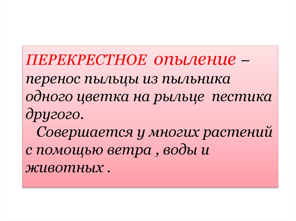 Перекрестное опыление. Перекрестное опыление – это перенос пыльцы. Перенос пыльцы ветром. Ксеногамия и гейтоногамия. Перенос пыльцы факторы.