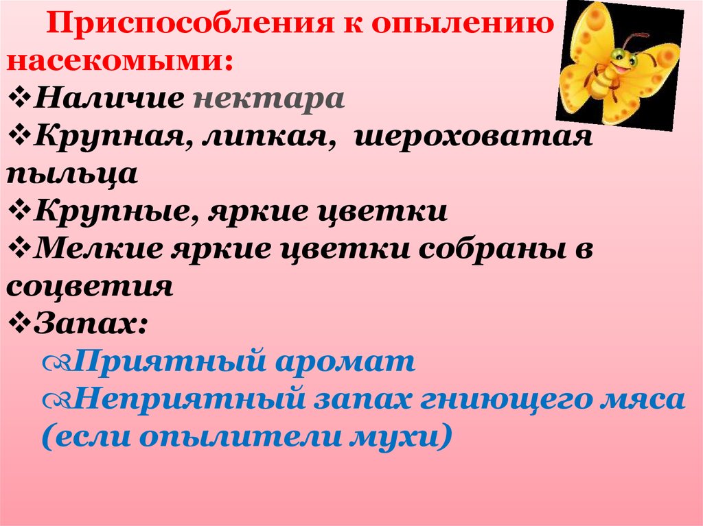 Какие приспособления имеют. Приспособления к опылению насекомыми. Приспособление растений к опылению. Приспособленность растений к опылению насекомыми. Приспособленность растений к опылению.