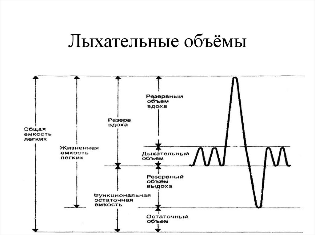 Жизненная емкость складывается из. Жизненная ёмкость лёгких схема. Жизненная емкость легких график. Функциональная остаточная емкость легких. Жизненная емкость легких физиология.