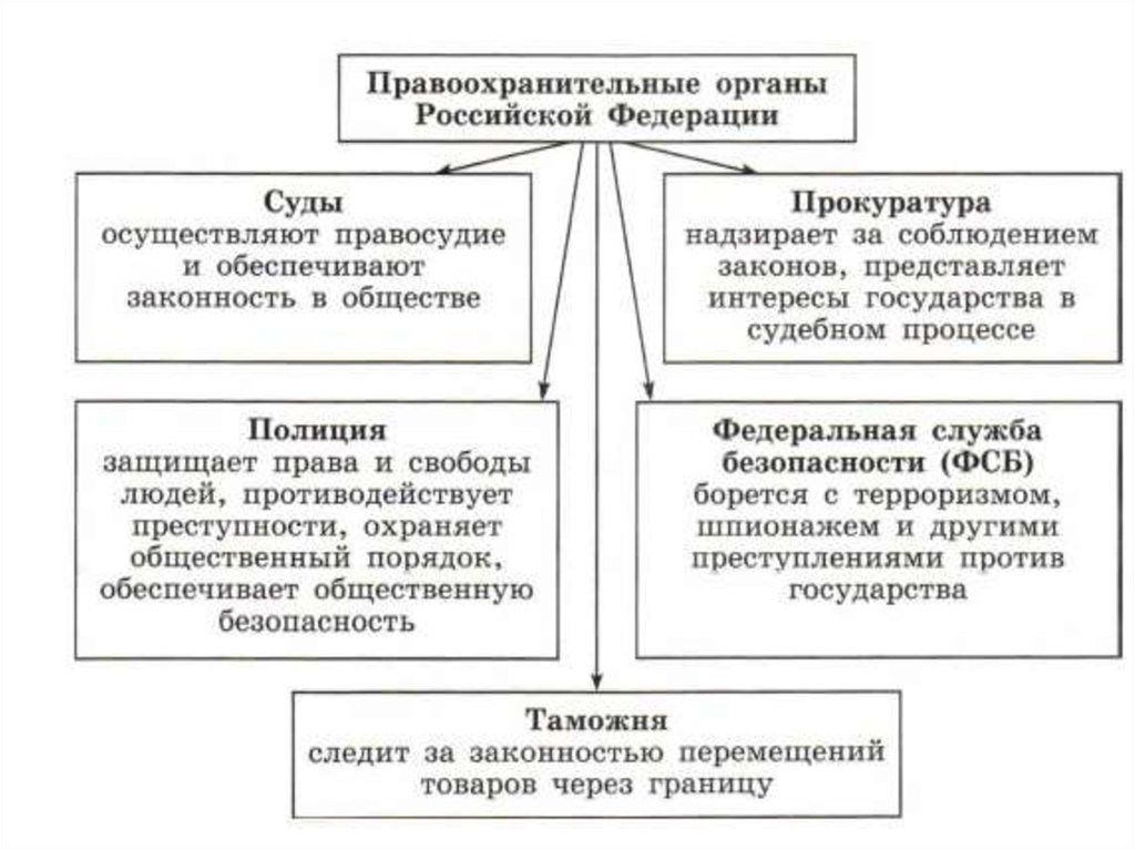 Правоохранительная деятельность схема - 84 фото