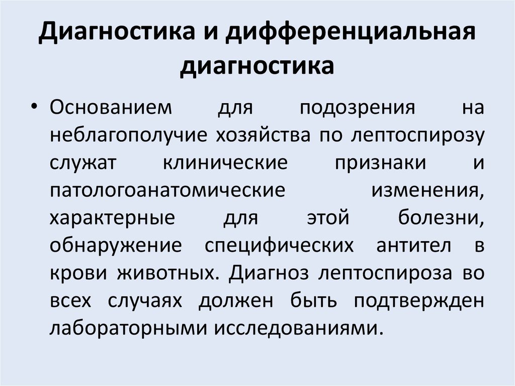 Кем разрабатывается план мероприятий по оздоровлению выявленного очага лептоспироза