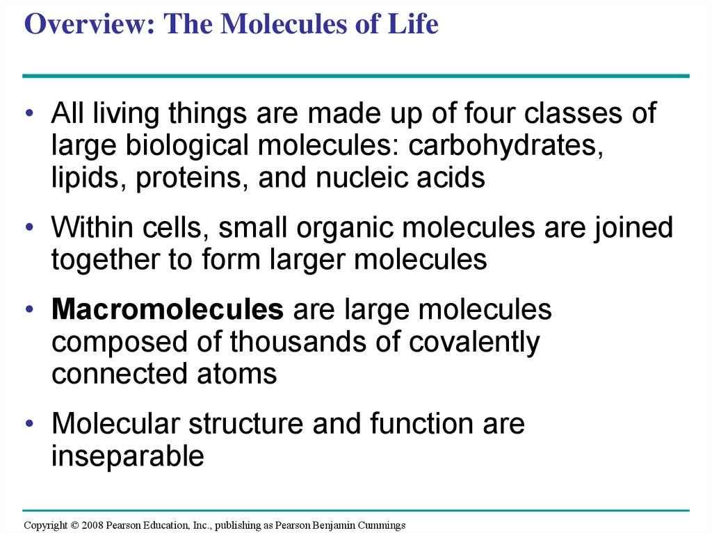Overview: The Molecules of Life
