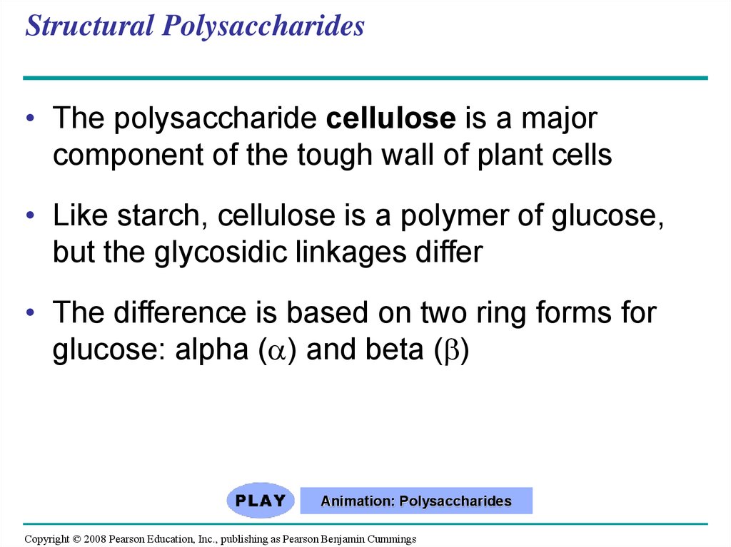 Structural Polysaccharides