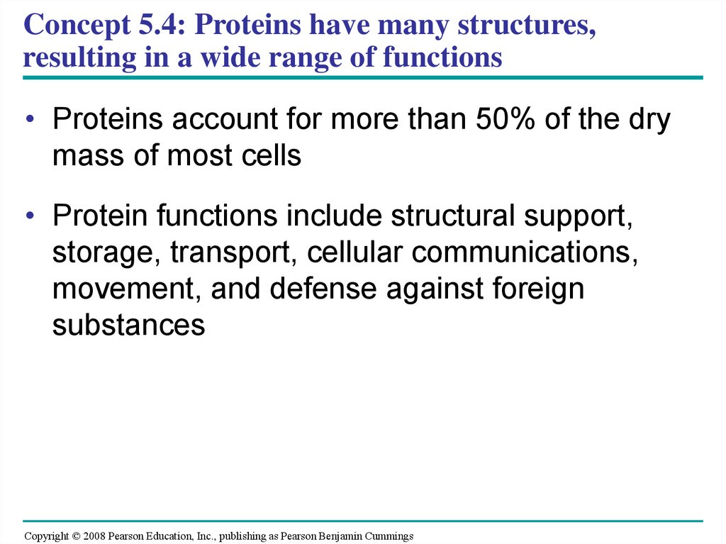 Concept 5.4: Proteins have many structures, resulting in a wide range of functions