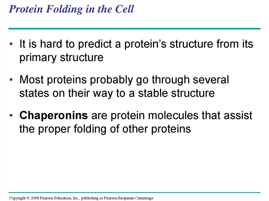 Protein Folding in the Cell