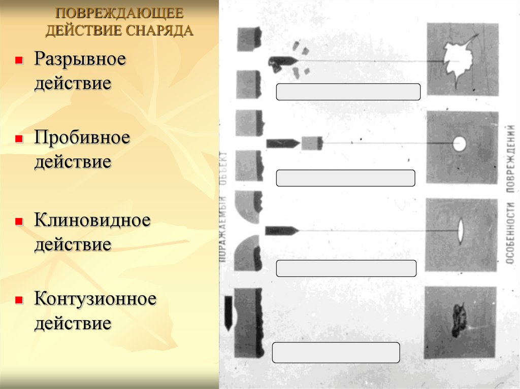 Схема ранений политковской