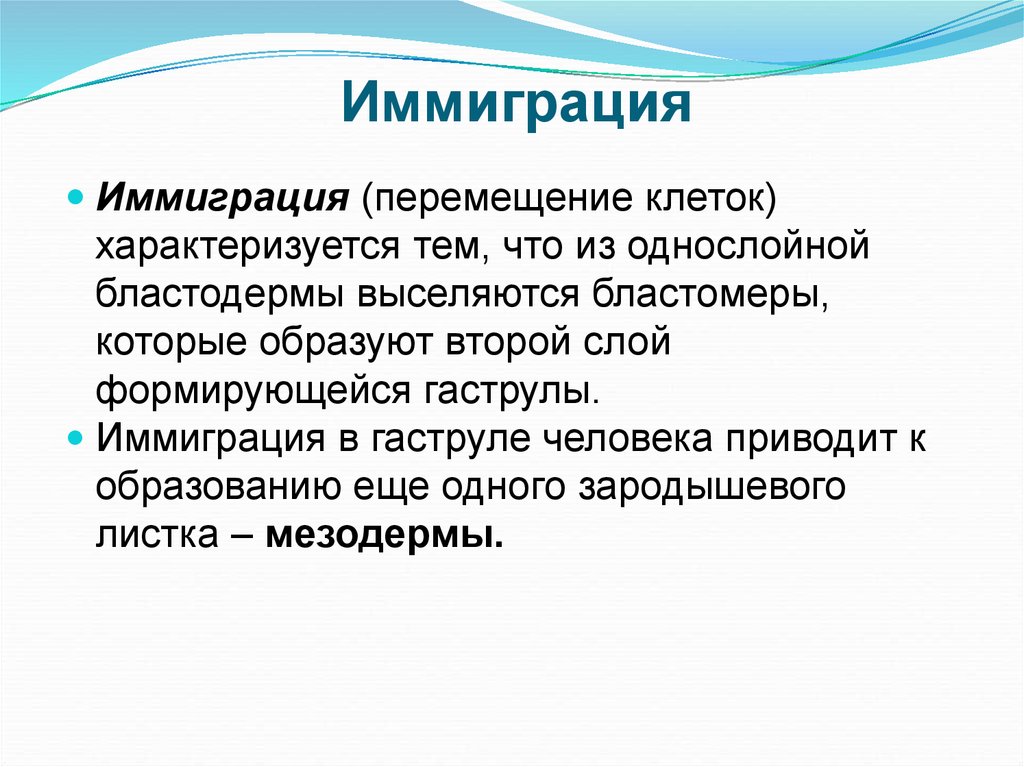 Перемещение клеток. Иммиграция. Понятие иммиграция. Иммиграция примеры. Особенности иммиграции.