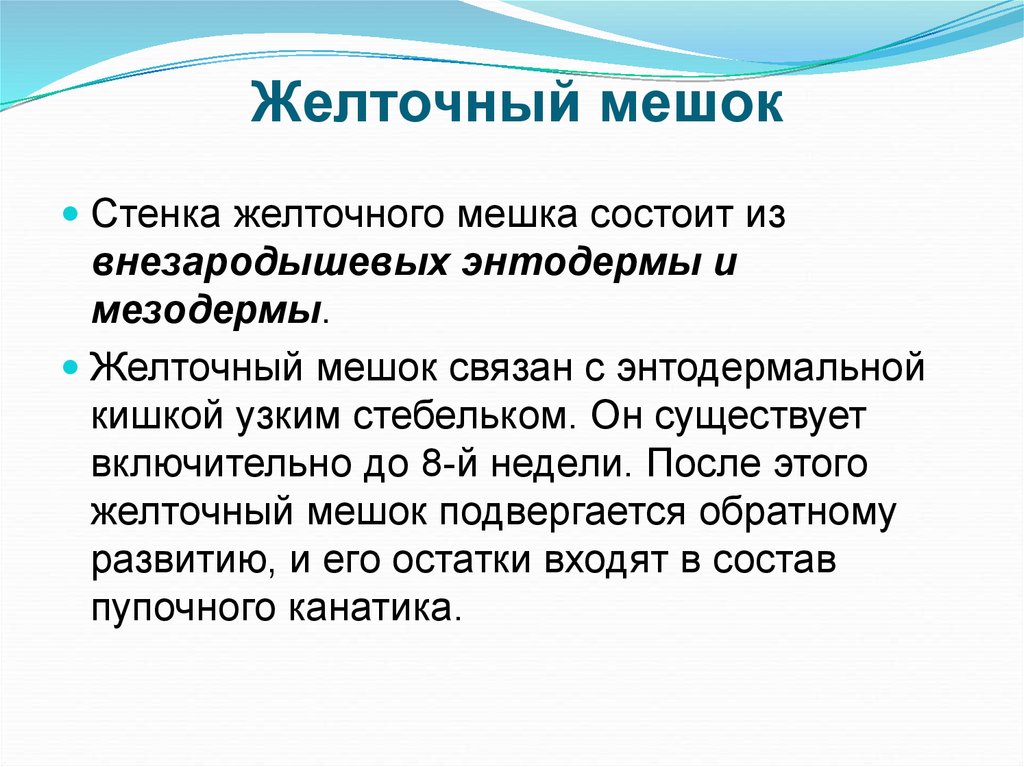 Желточный мешок. Функции желточного мешка. Функции, выполняемые желточным мешком.