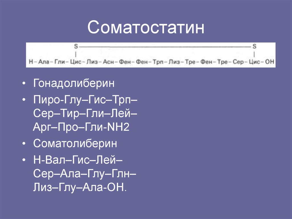 Соматостатин
