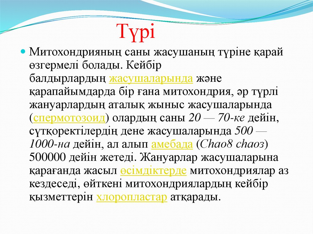 Графикалық файл пішіні деген не