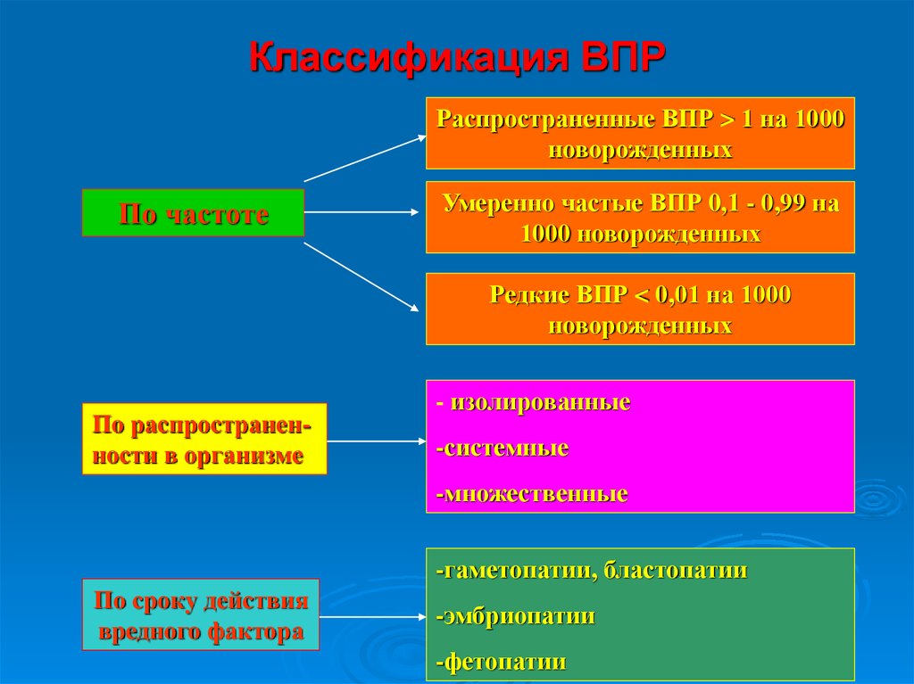 Какие специальные меры по защите от вредных факторов экрана дисплея