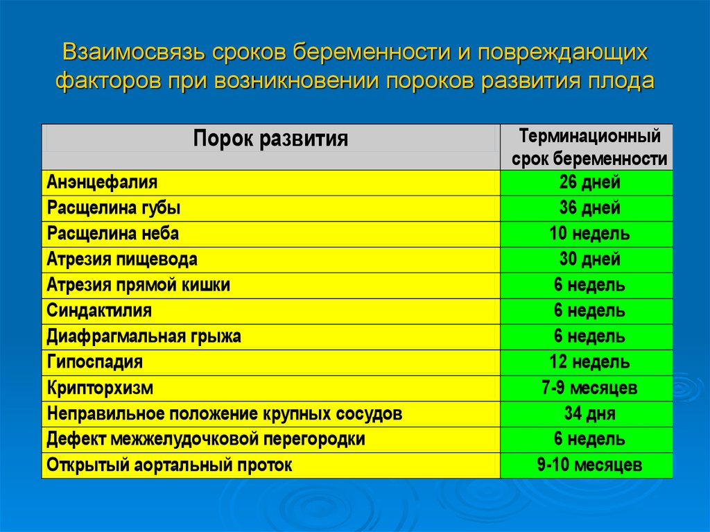 Периоды беременности. Факторы риска развития пороков плода. Факторы риска возникновения пороков развития. Факторы риска развития врожденных пороков плода. Период опасности забеременеть.