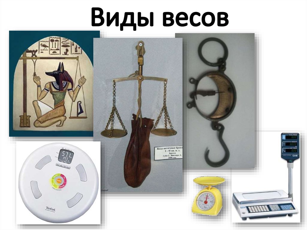 5 видов весов рисунки