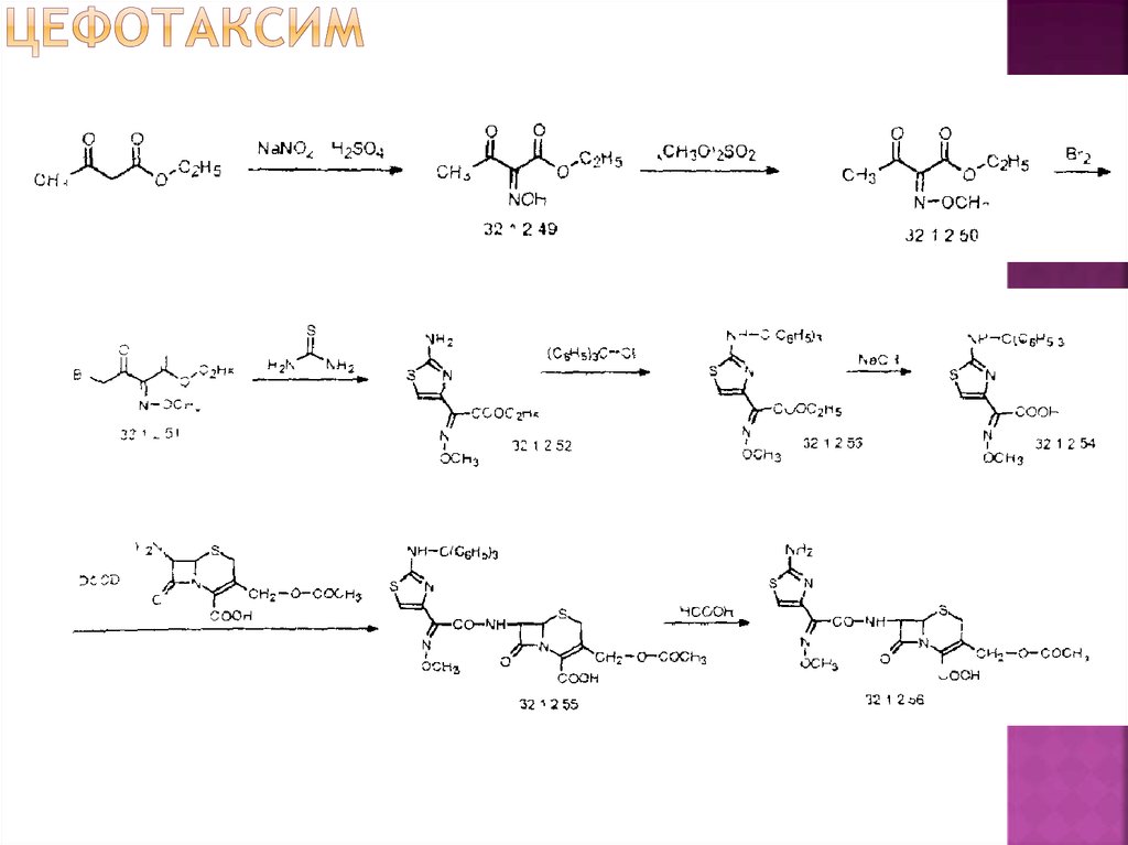 цефотаксим