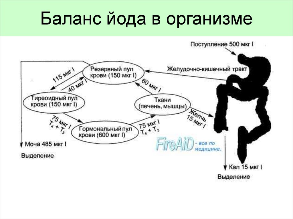 Схема загрузка йодом