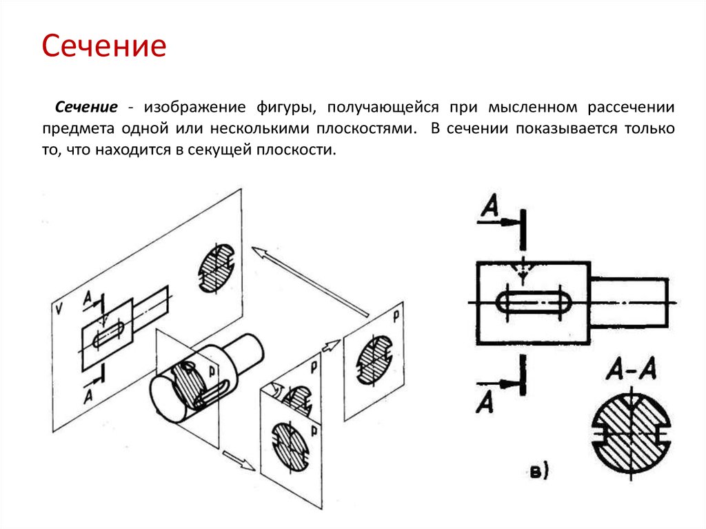 Изображение получено мысленным рассечением предмета плоскостью