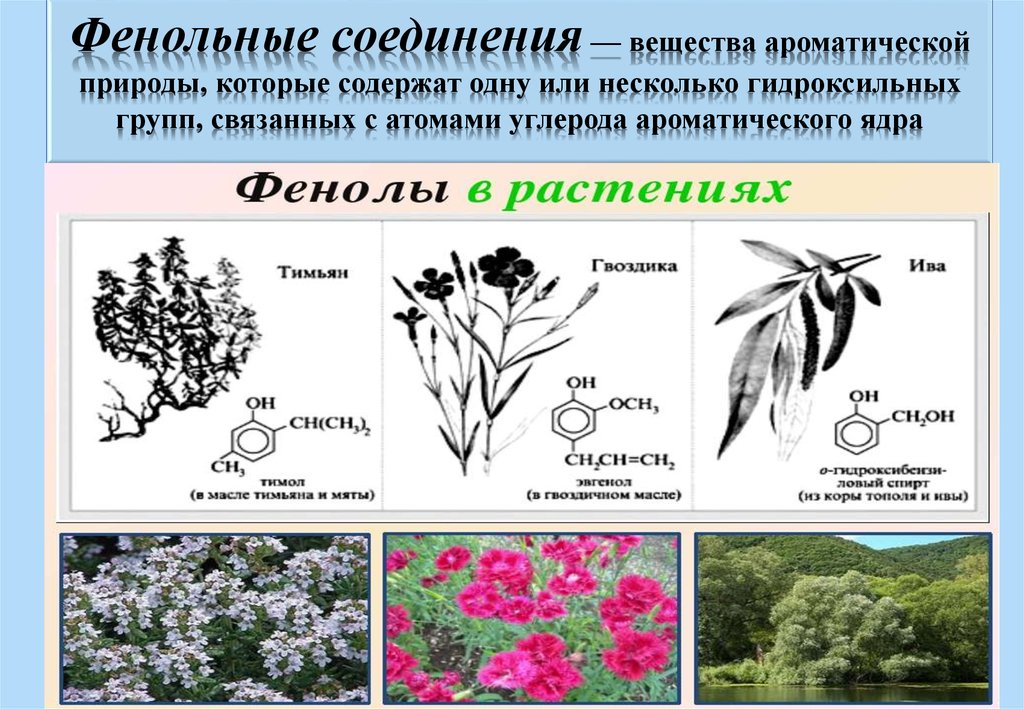 Вещества растений содержащие