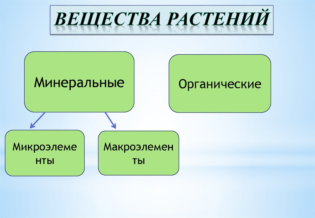 Вещества растений