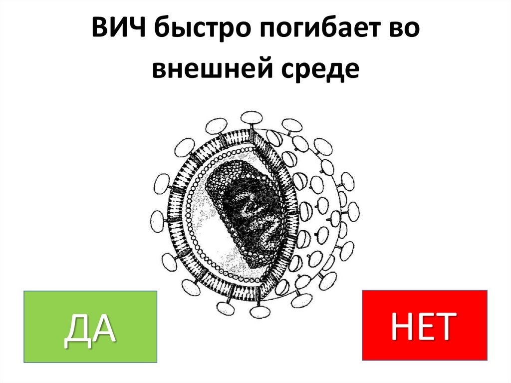 Ка нет что это. Ка нет что это