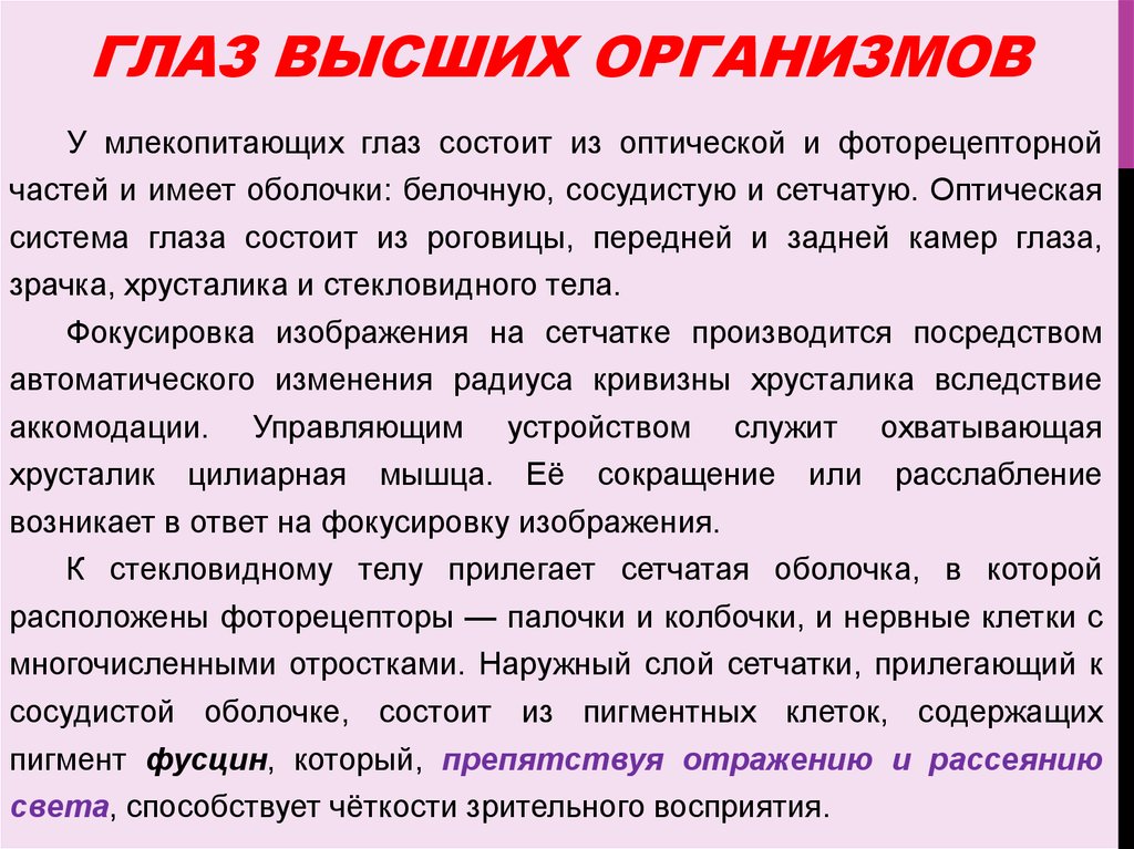 Высшие организмы