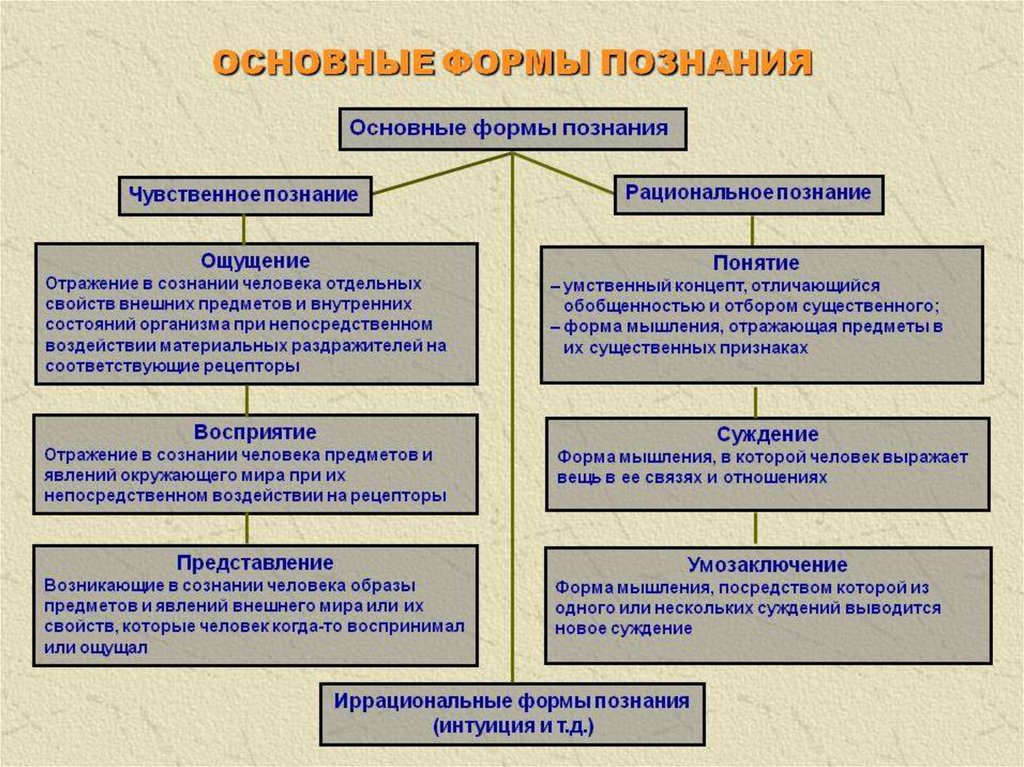 К объективным источникам информации о признаках внешнего облика человека относятся рисунки