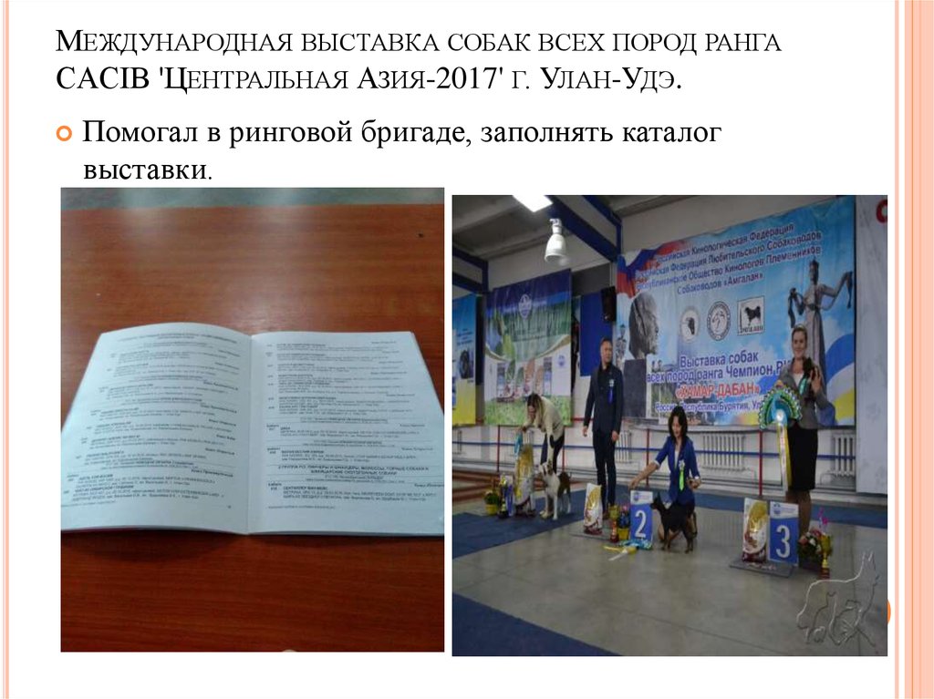 Международная выставка собак всех пород ранга CACIB 'Центральная Азия-2017' г. Улан-Удэ.