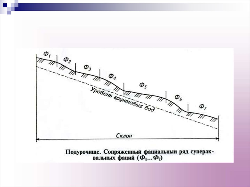 Морфологическая структура водоема