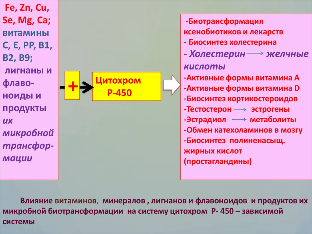 Регулятор обмена веществ