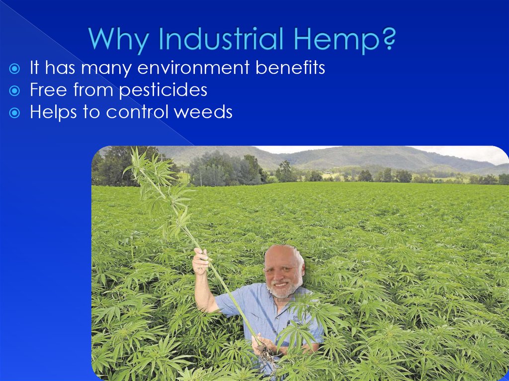 Why Industrial Hemp?